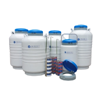 Memahami Bekas Nitrogen Cecair: Ciri dan Aplikasi Utama